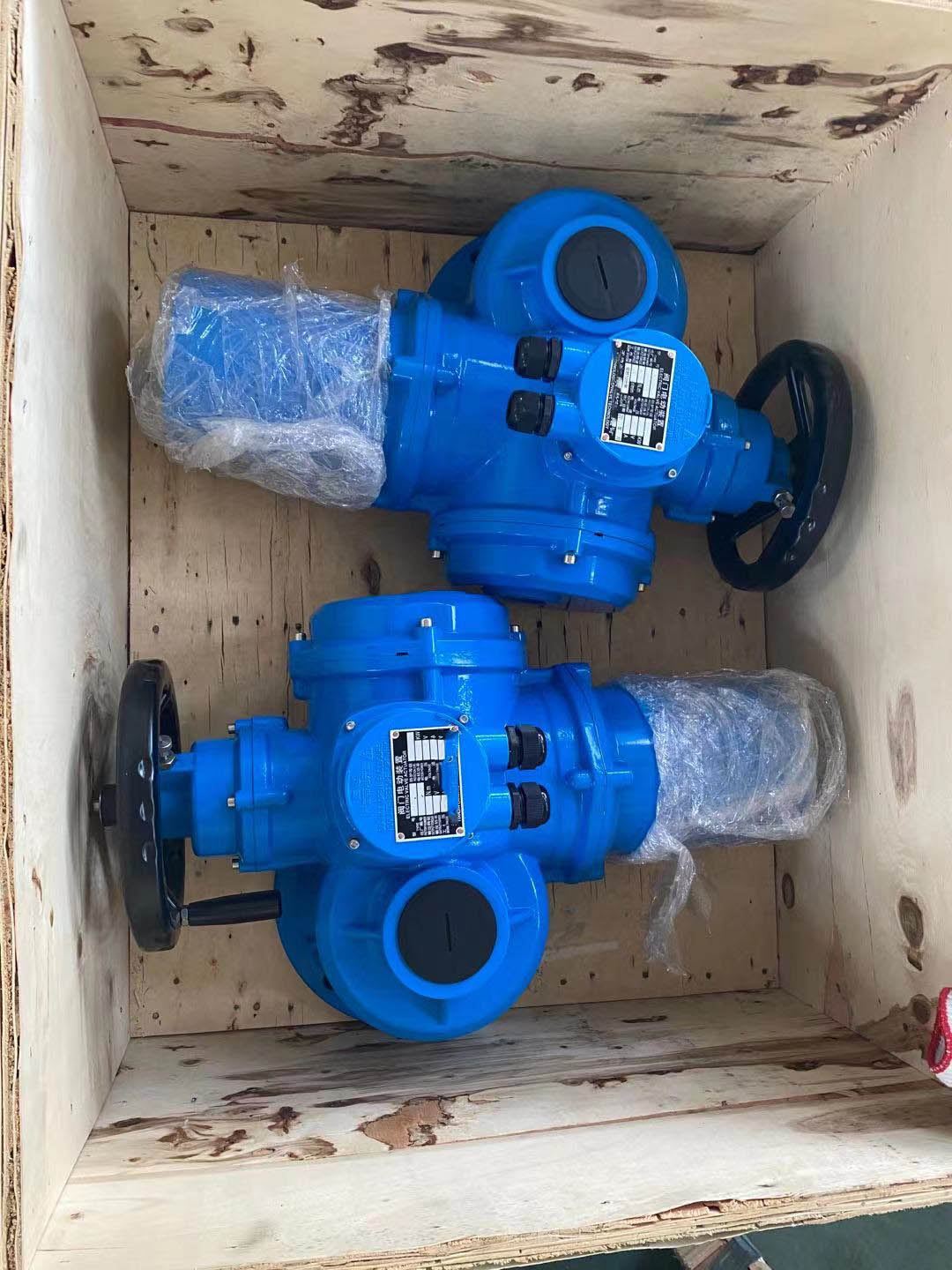 Multi turn electric actuator DZW