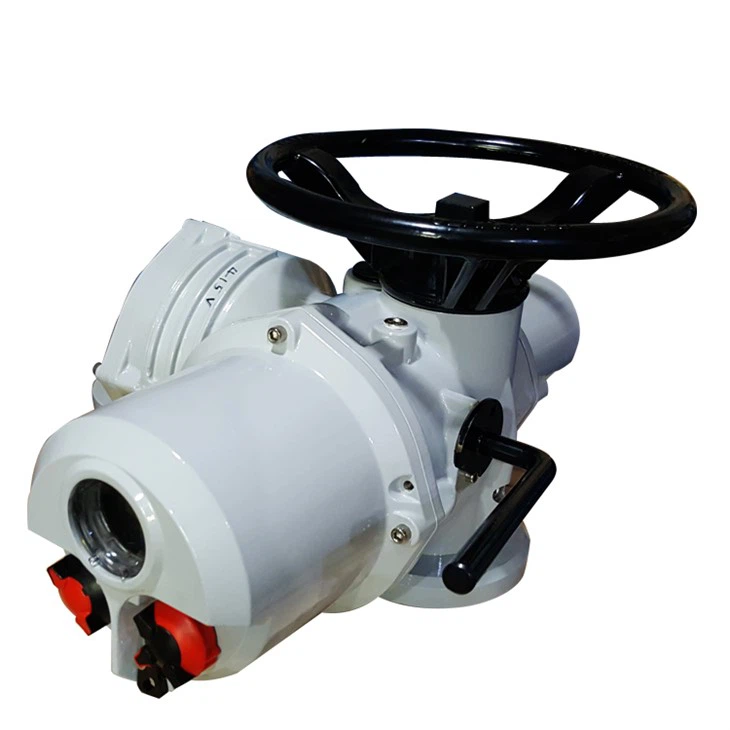 Low Temperature Multi-turn Electric Actuator