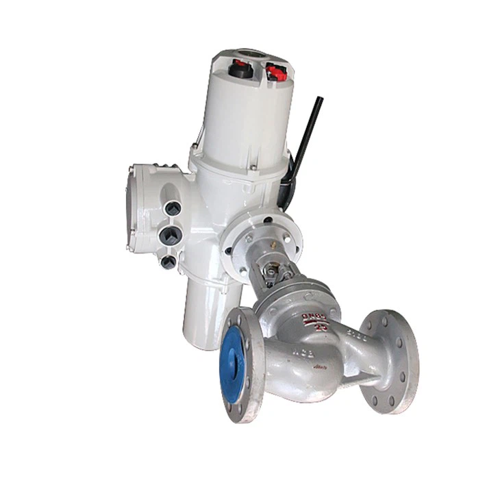 Wcb Automatic Globe Control Valve